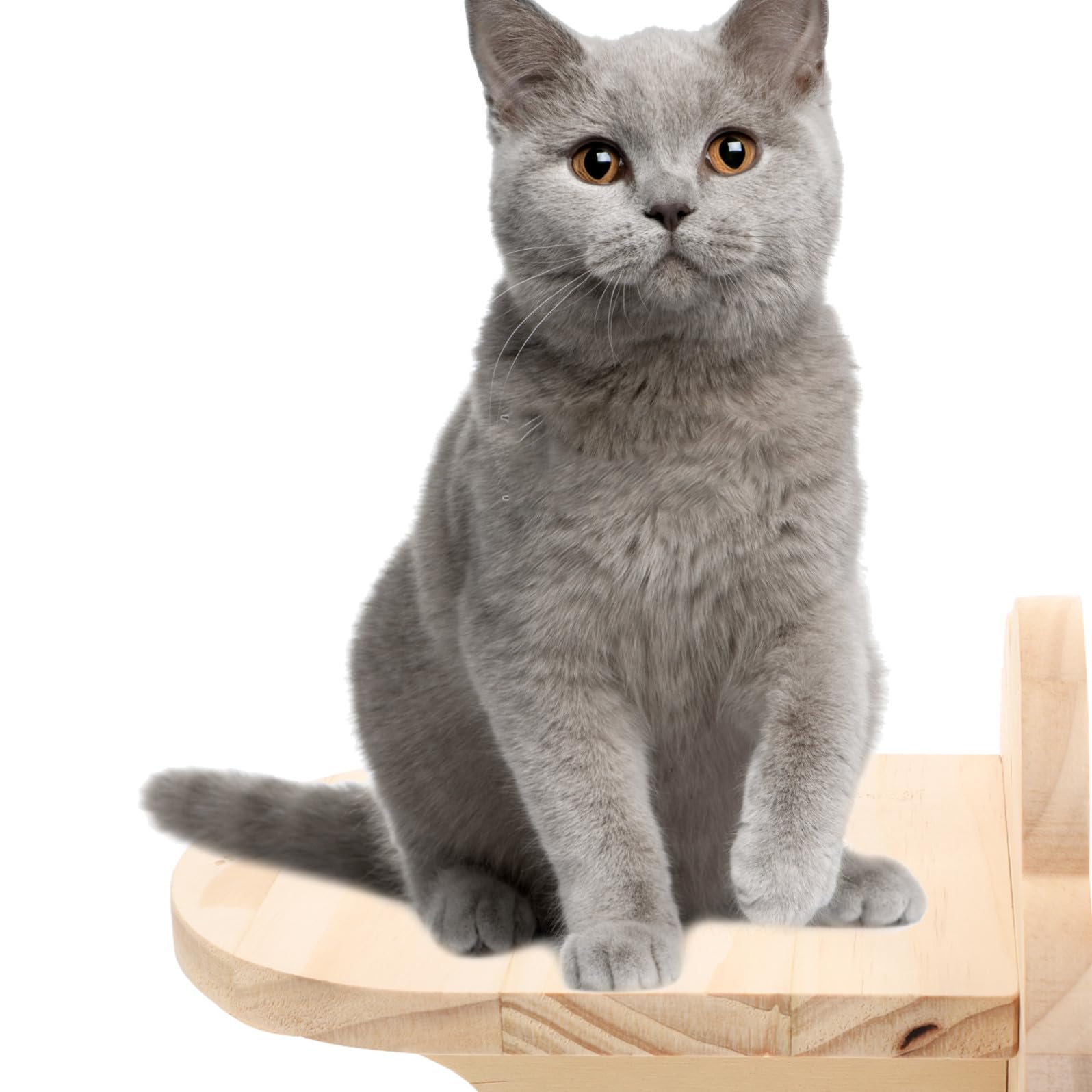 Mensole da Muro per Gatti 2 Pezzi in Legno, Scala Robusta e Salvaspazio a Forma di Nuvola, per Casa e Negozio di Animali