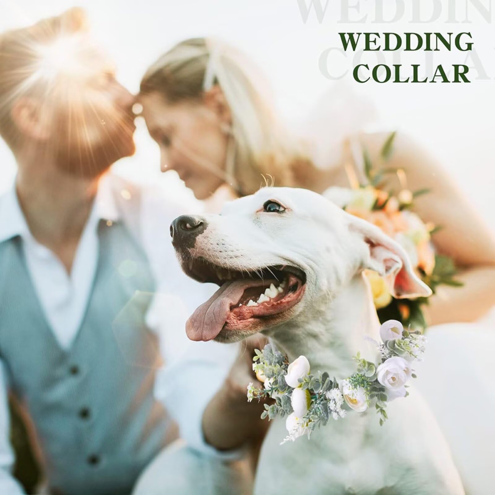 Collier à Fleurs pour Chien avec Perles, Laisse perlée, 120 cm, pour Chien de Moins de 12 kg