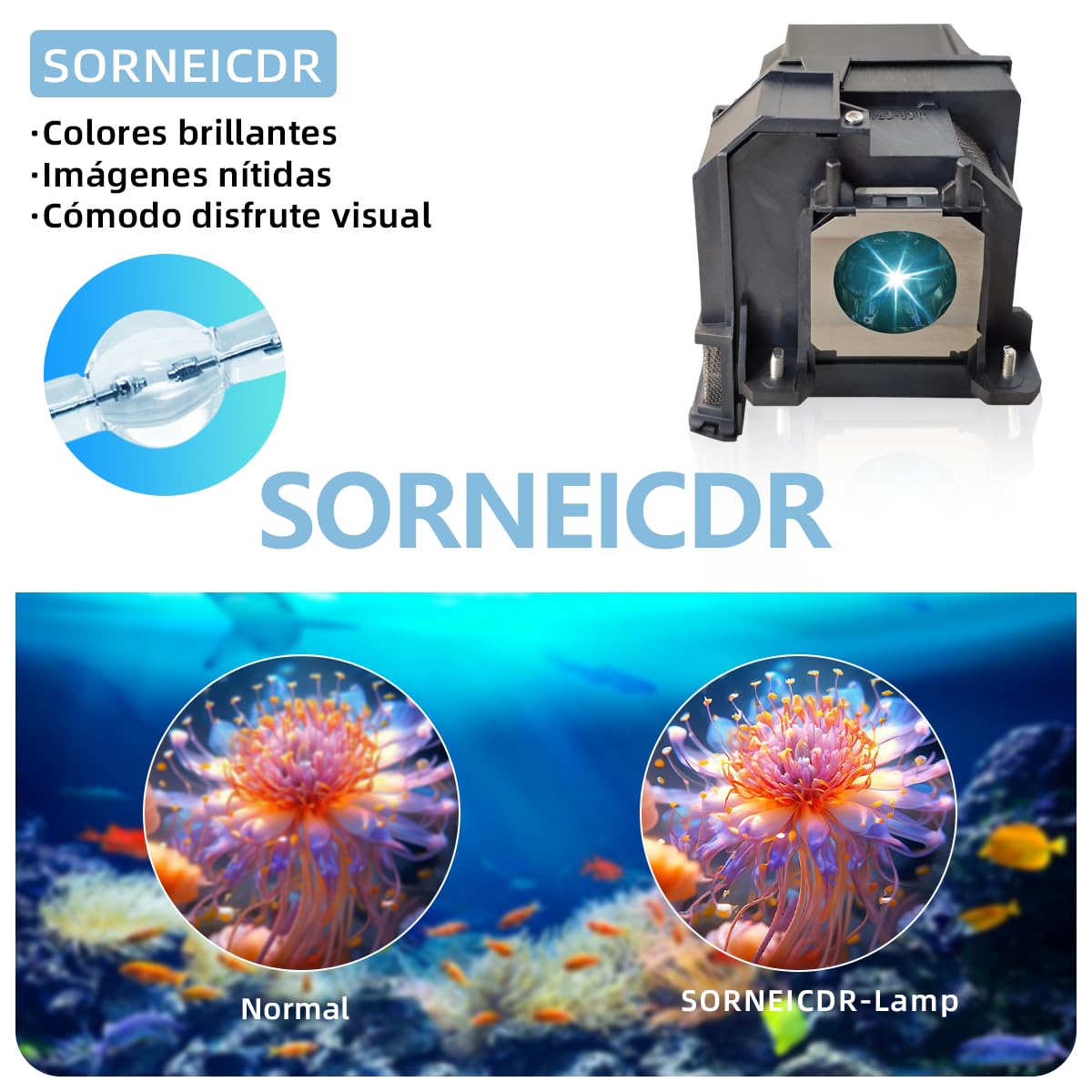 Lampada Proiettore Per Epson ELPLP91/V13H010L91 EB-680S EB-680 EB-685WS EB-685WT EB-685W EB-685Wi EB-695WT EB-695Wie EB-695Wi POWERLITE 680/685W BRIGHTLINK 685Wi+/685Wi/695Wi+/695Wi Videoproiettore