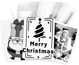 Memoking T02 Paper - T02 Thermal Labels, Clear/Transparent Paper for Journal Photo Texts Study Notes and More, 3 Rolls