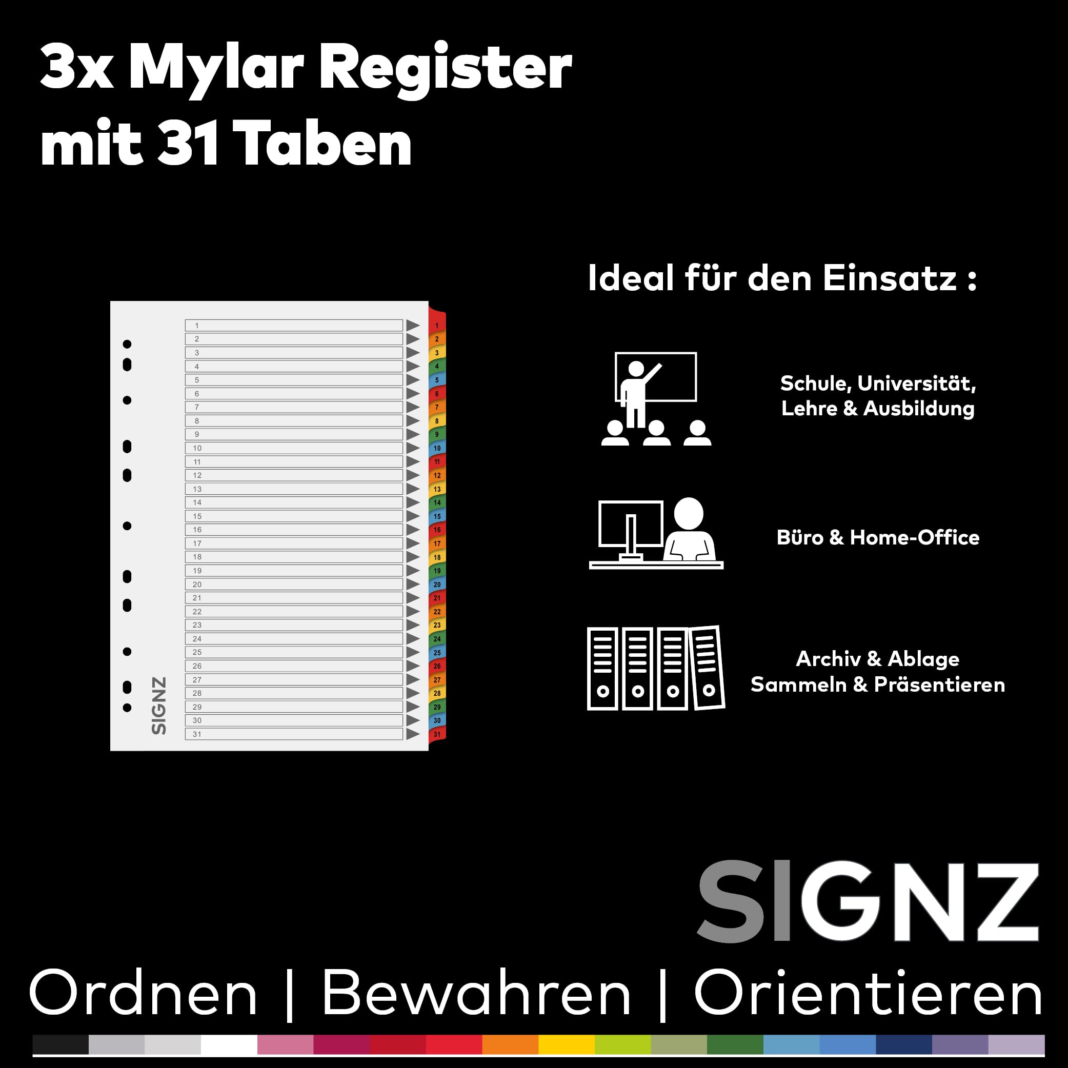 SIGNZ Rejestr DIN A4, 31-częściowy, 3 sztuki, bardzo mocne przekładki, neutralne pod względem emisji CO2, wyprodukowano w Niemczech