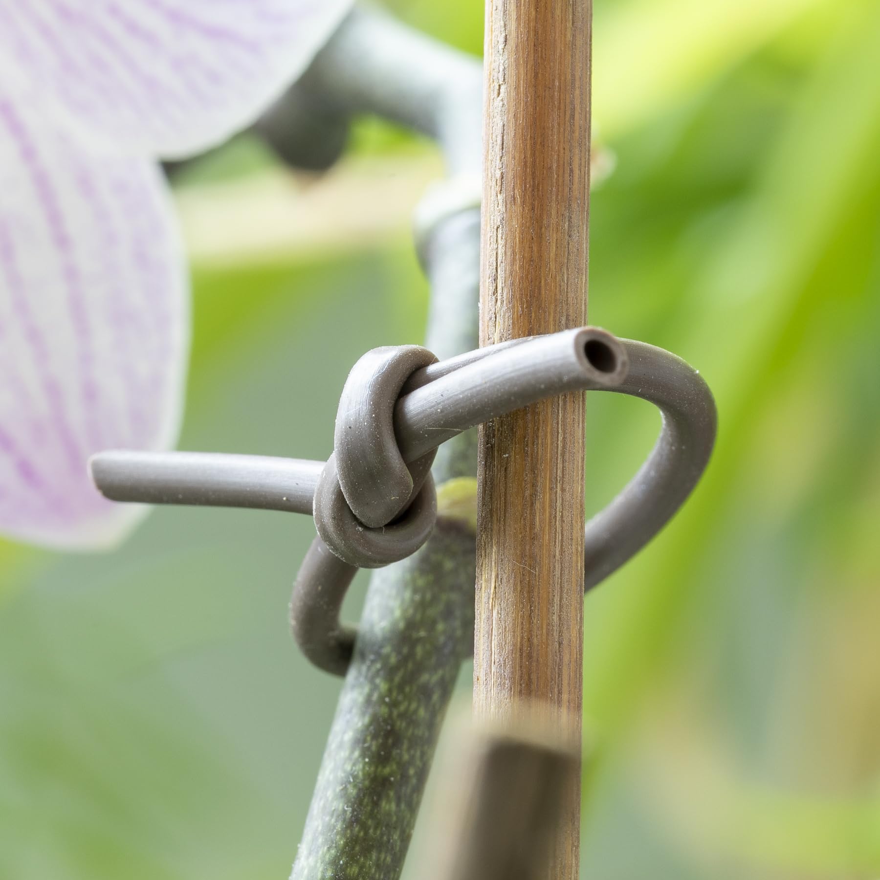 Flandria Lien Souple Tube Creux 3 mm x 45 mètres - Flexible, Suit la Croissance des Plantes