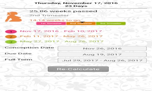Pregnancy App
