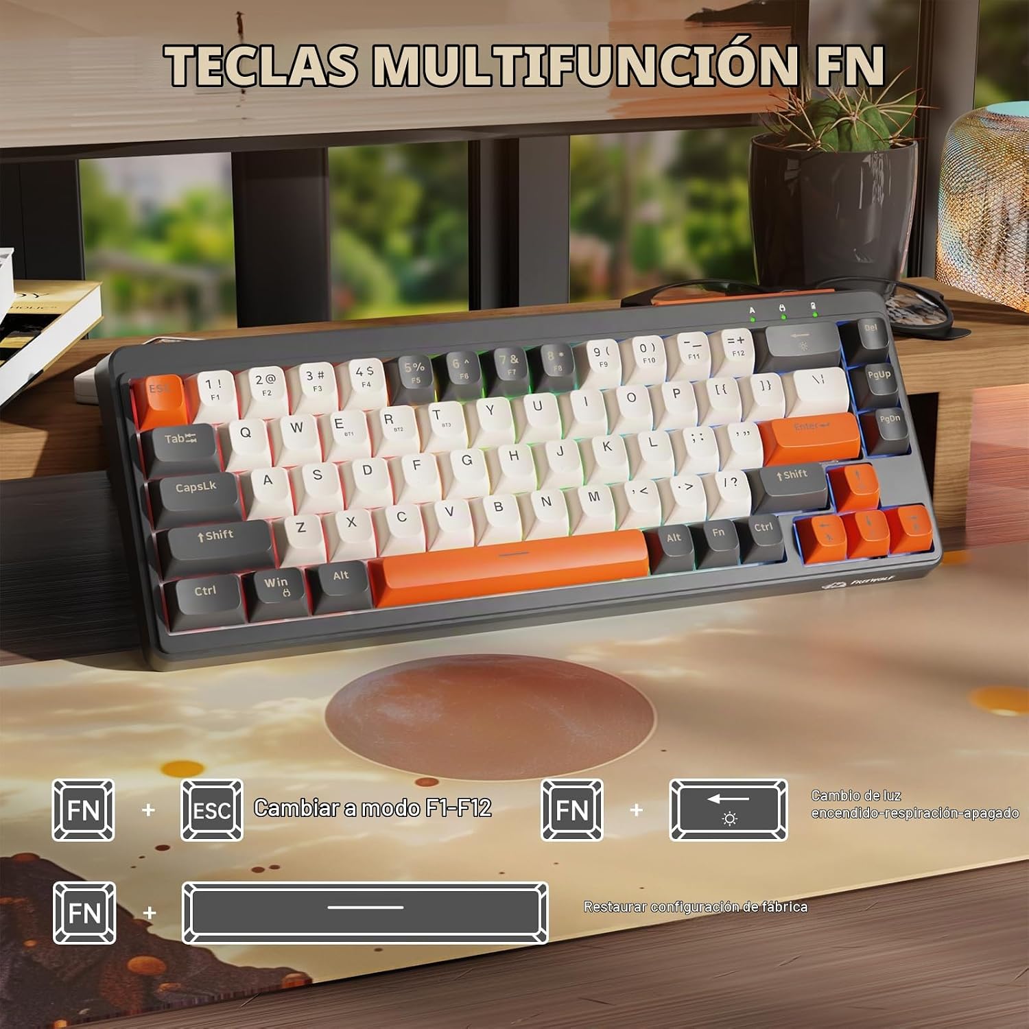 Diagram showing FN key combinations for F1-F12 mode, backlight control, and factory reset.