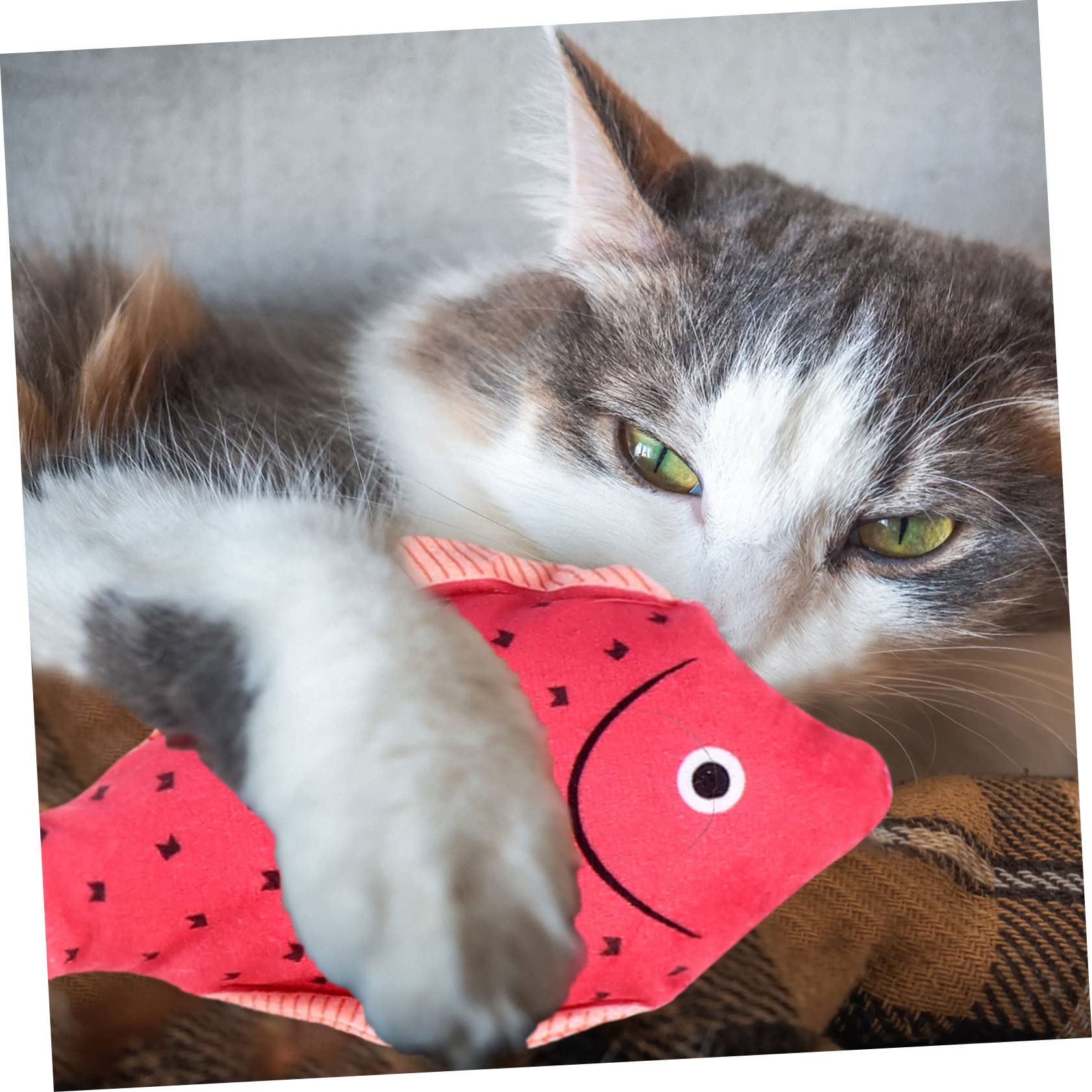 Happyyami 12stücke Katzenminze Spielzeug Kreative Plüschfischspielzeuge Für Interaktives Spielen Mit Katzen Squeaky Und Weich Für Katzen Und Kätzchen Teiliges