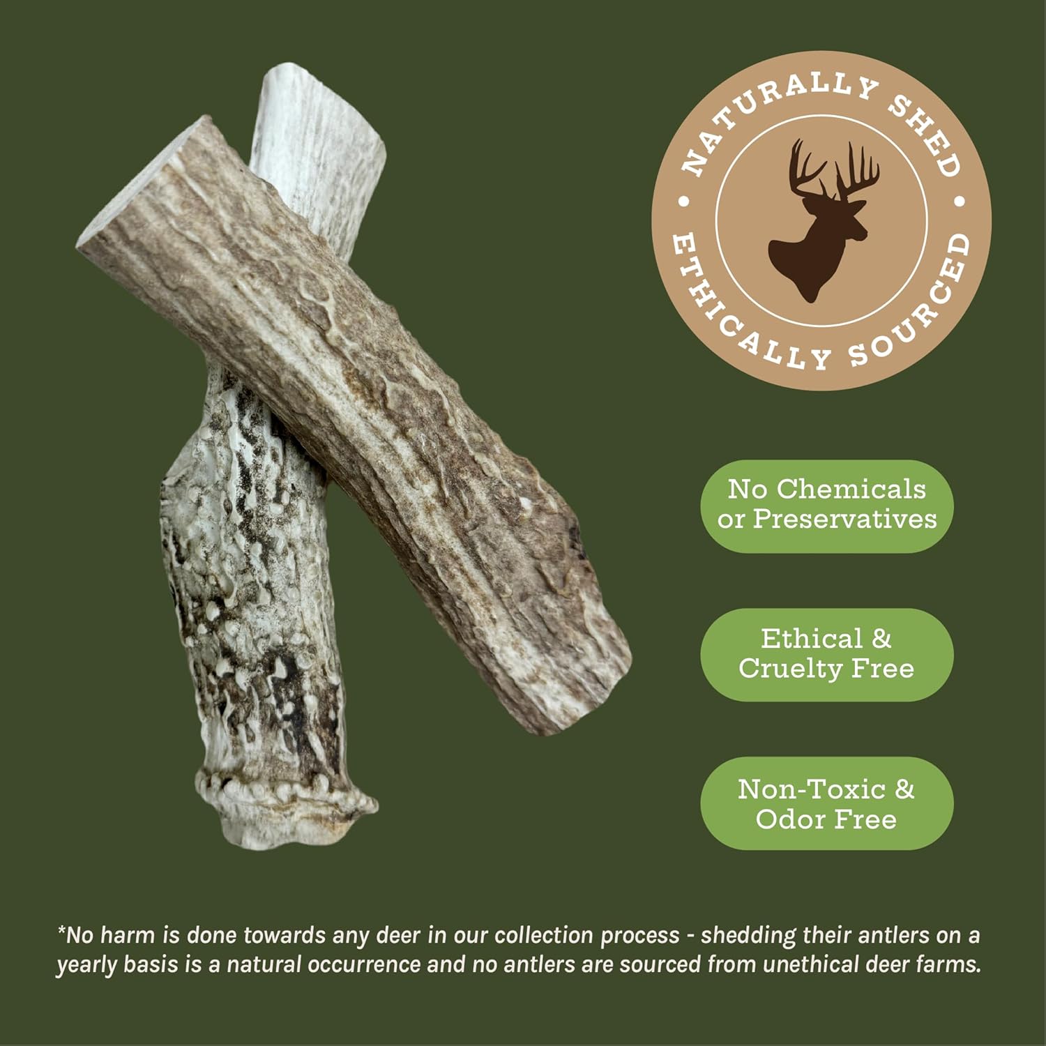Good Trouble Premium Deer Antlers for Medium Dogs – 2 Whole Antlers Pets - North American Sourced for Dental Health & Anxiety Relief - Odor-Free & Non-Toxic Chew Bone for Dogs