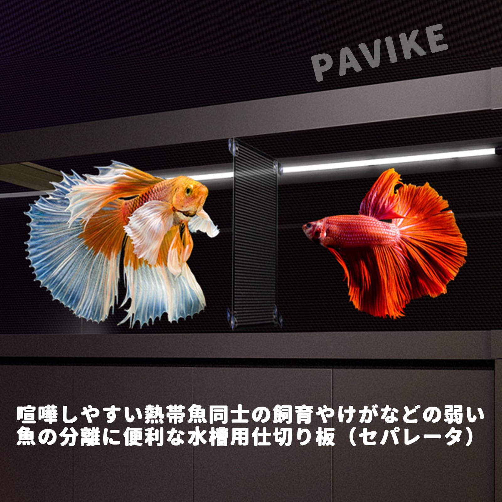 Amazon | PAVIKE水槽仕切り板 水槽セパレーター 水槽 水族館