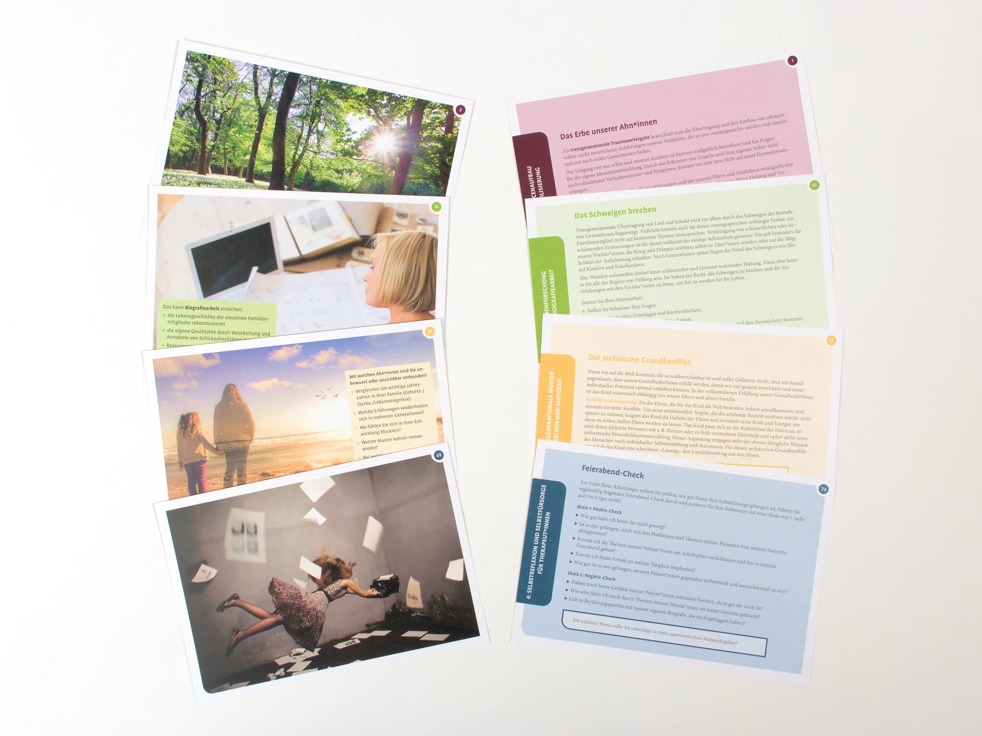 Transgenerationale Therapie: 75 Therapiekarten. Mit 32-seitigem Booklet in hochwertiger Klappkassette, Kartenformat 16,5 x 24 cm (Beltz Therapiekarten)