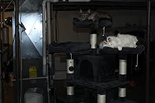 Review Image by Robin Reigns Robin Reigns