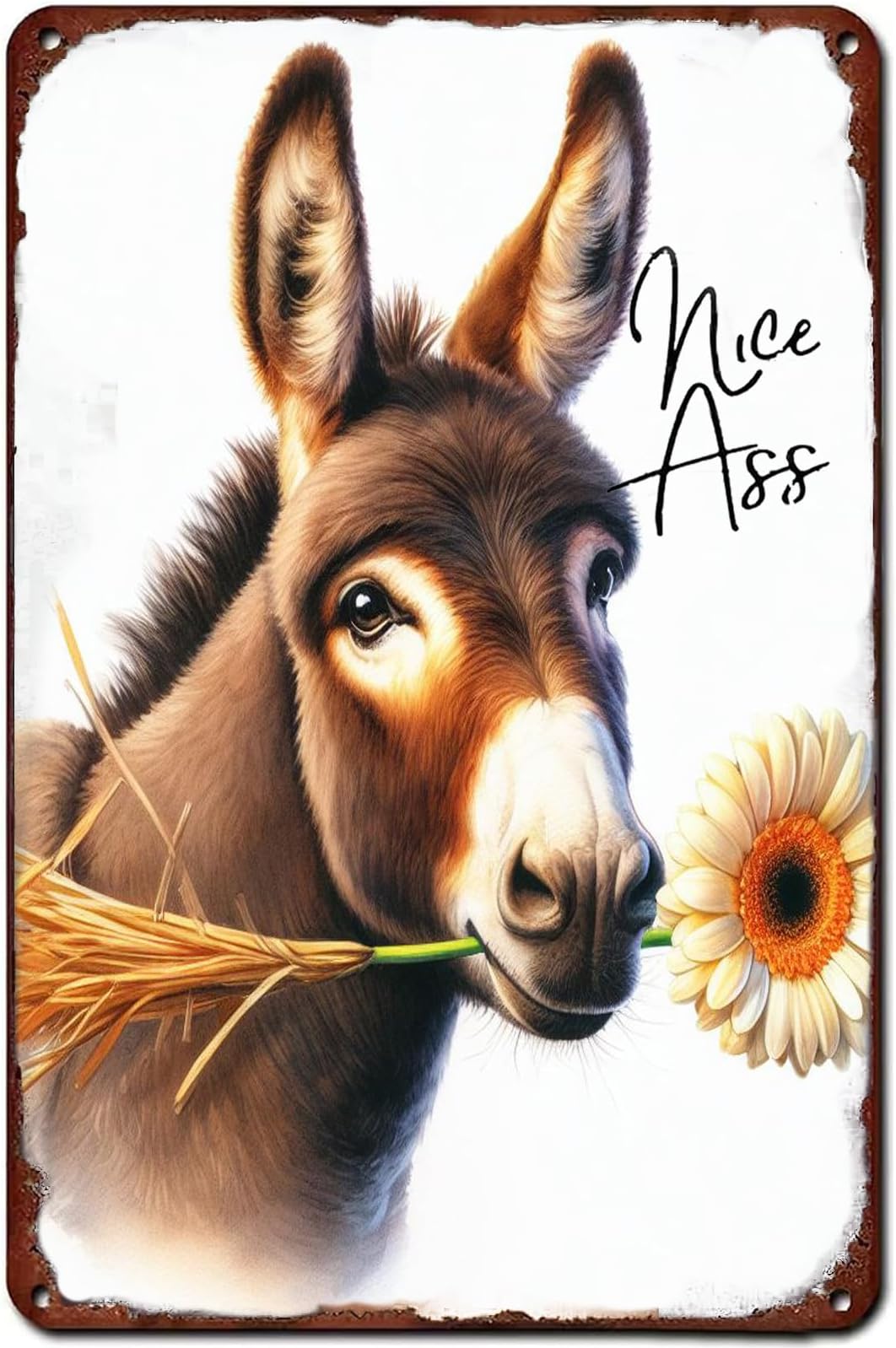 BCHUAN Funny Donkey Sunflower Bathroom Sign Donkey Wall Art Decor Nice Ass Farmhouse Bathroom Metal Tin Sign Retro Metal Poster Plaque Sunflower Sign 12x8 Inch