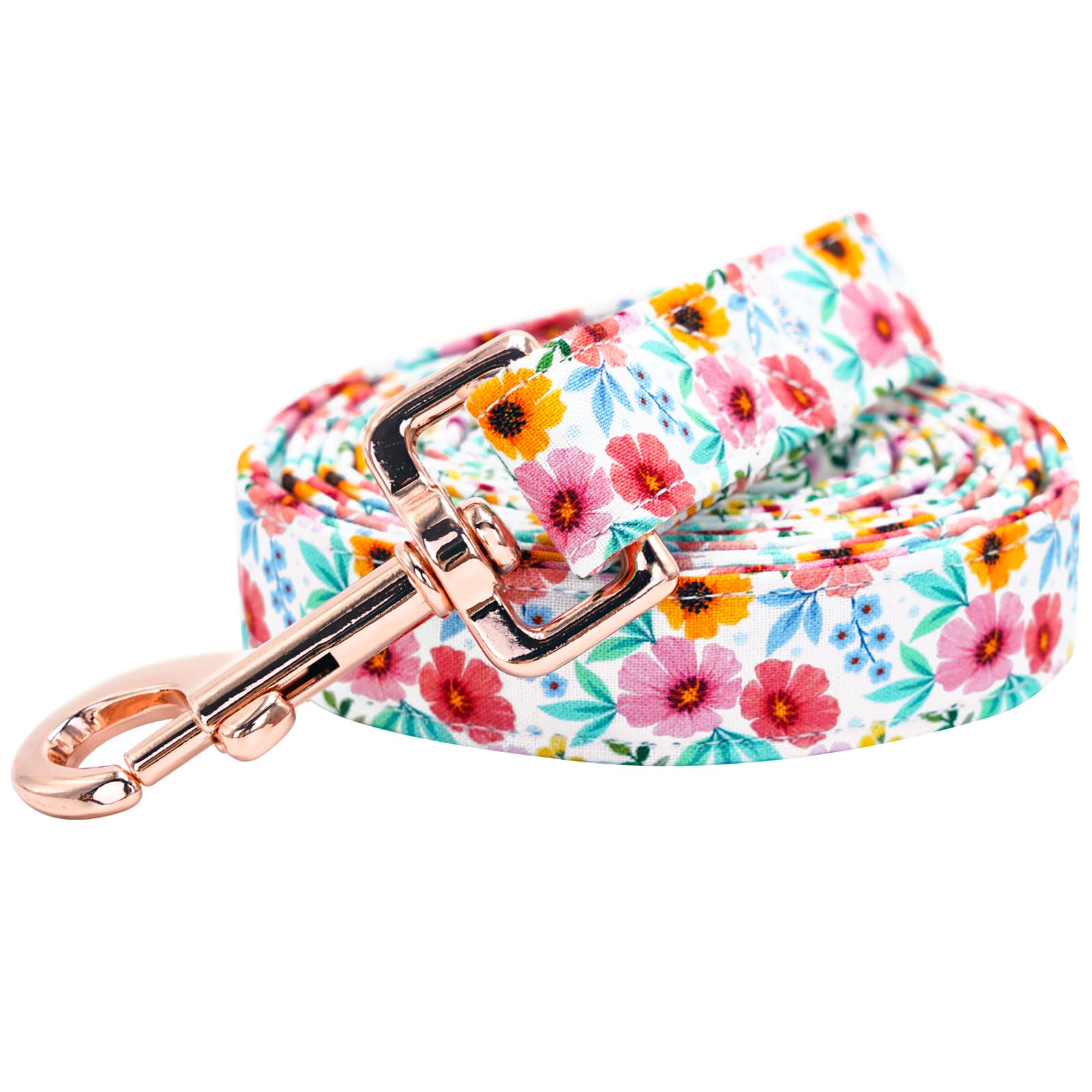 Laisse d'été pour chien Elegant little tail solide pour toutes tailles