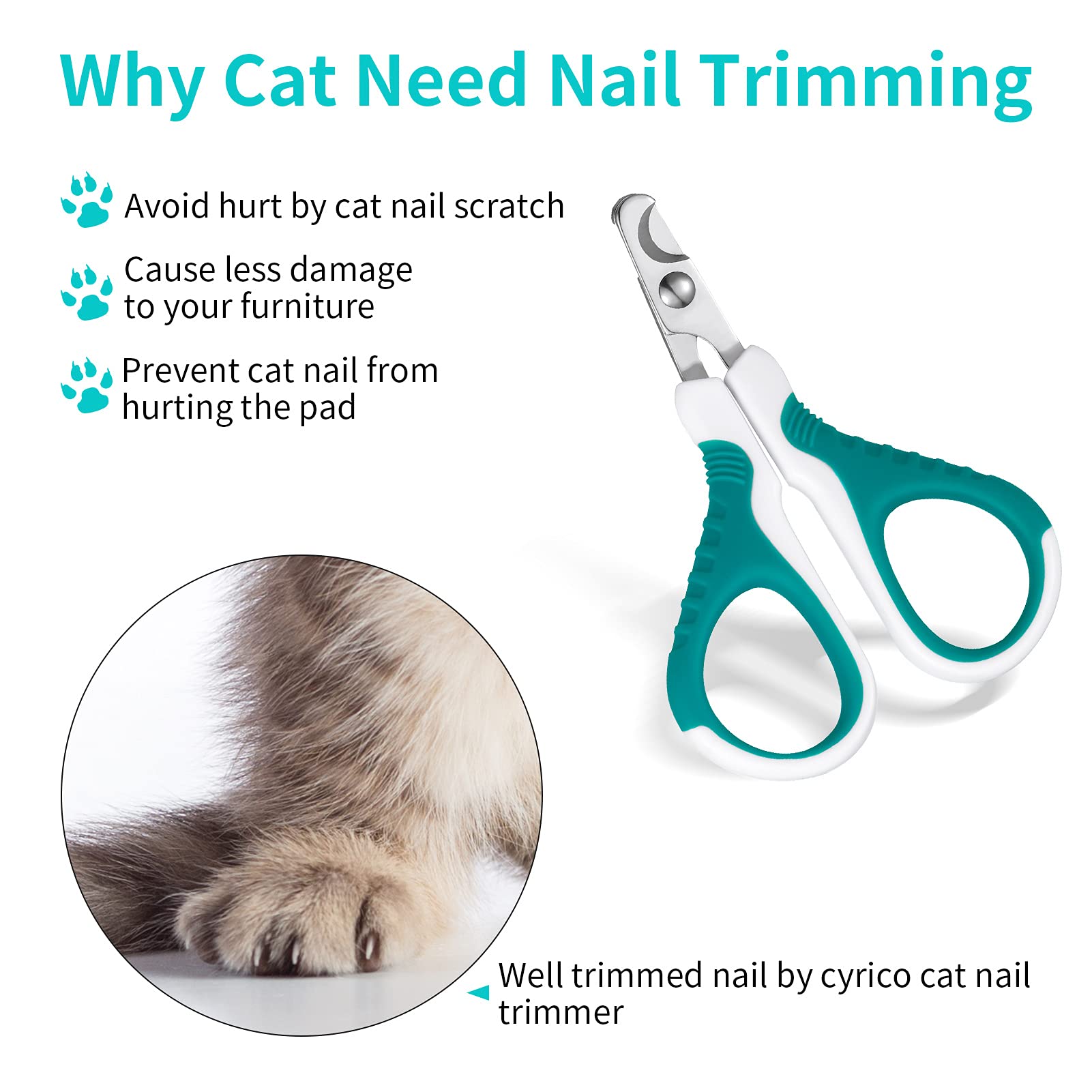 SUSSURRO Coupe Griffes Chat Professionnels, Coupe Ongle Animaux de Compagnie pour Chiots, Chatons, Cochons d'Inde, Oiseaux, Hamsters et Lapins, Ciseaux à Ongles Courbe en Acier Inoxydable