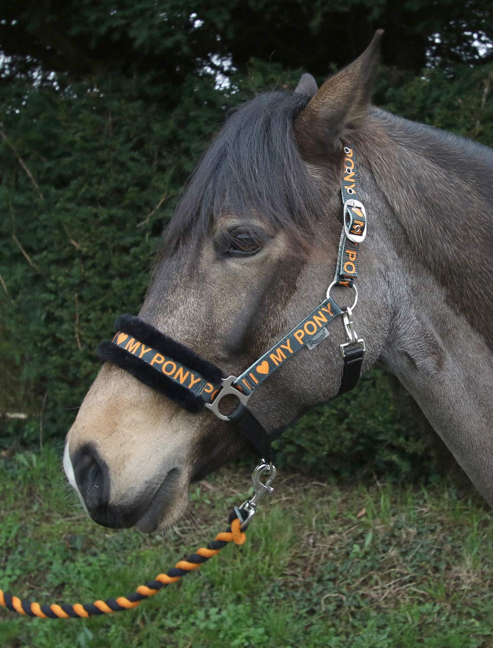 Rhinegold Love My Pony Headcollar & Rope Set