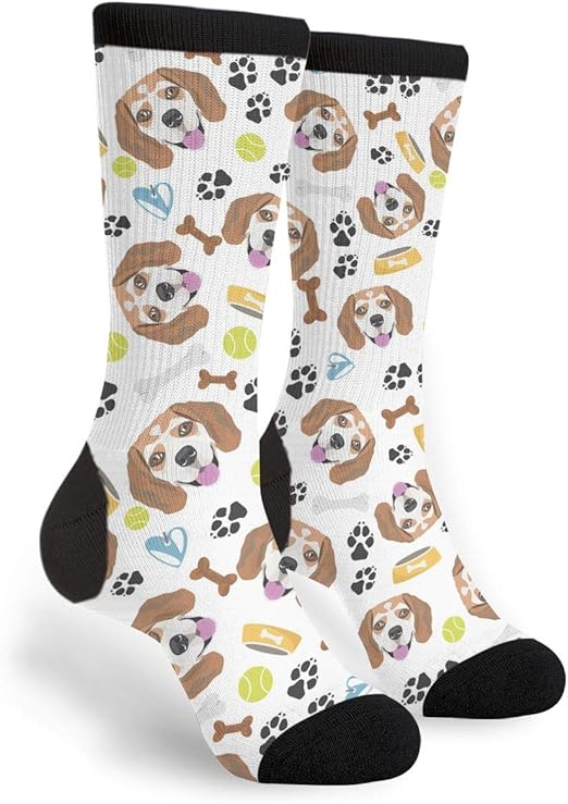 beagle socks h&m