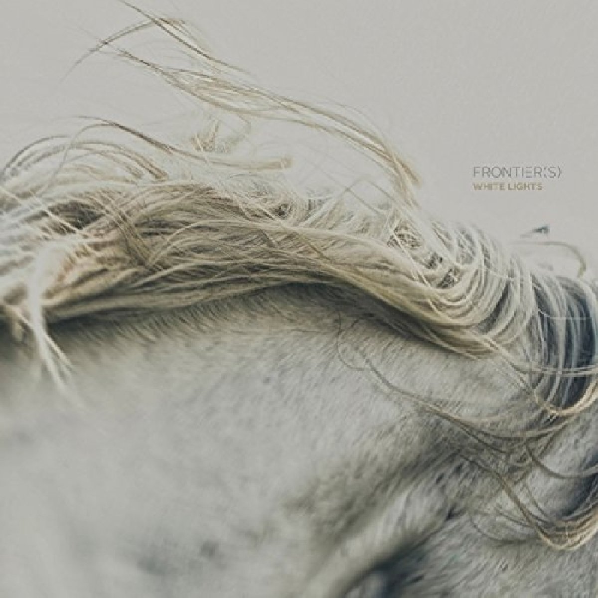 White Lights EP [VINYL]
