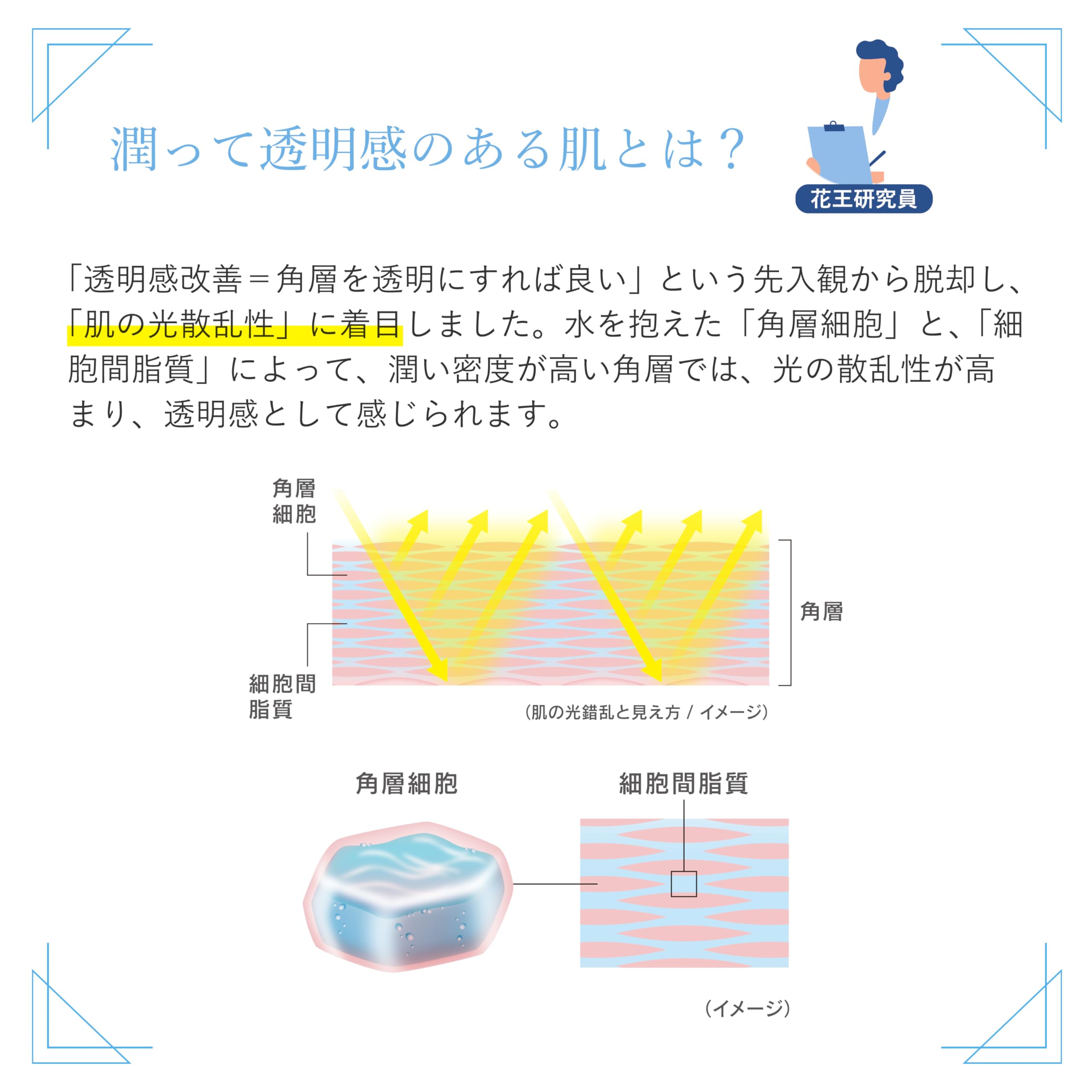 Amazon.co.jp: ALBLANC アルブラン ザ UVエマルジョン1 【乳液】 30ml