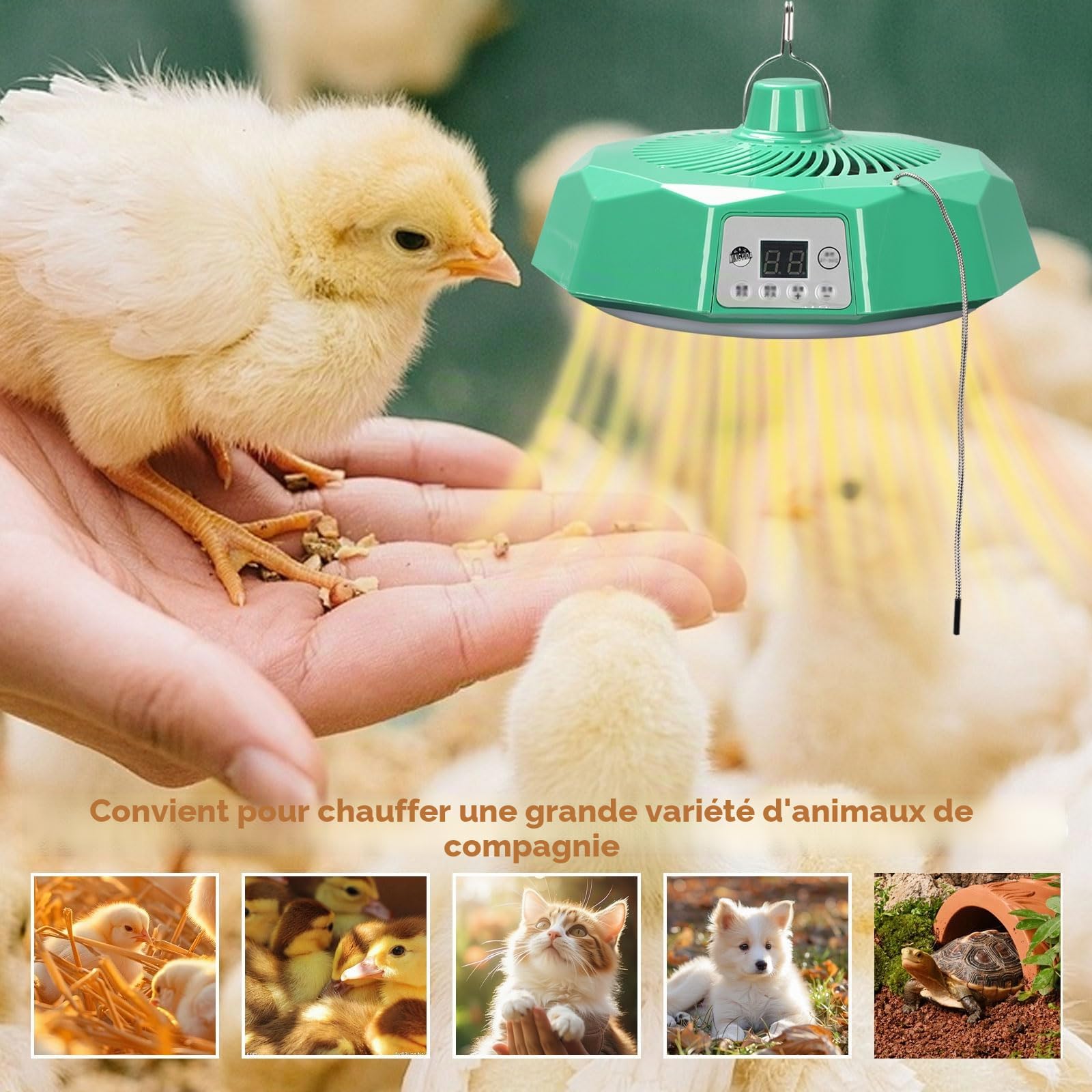 Chauffage de poulailler 500 W, Lampe chauffante intelligente pour poussins, Température constante automatique et télécommande, Température Réglable 27°C-36°C, Plaque chauffante poussin pour Poulailler