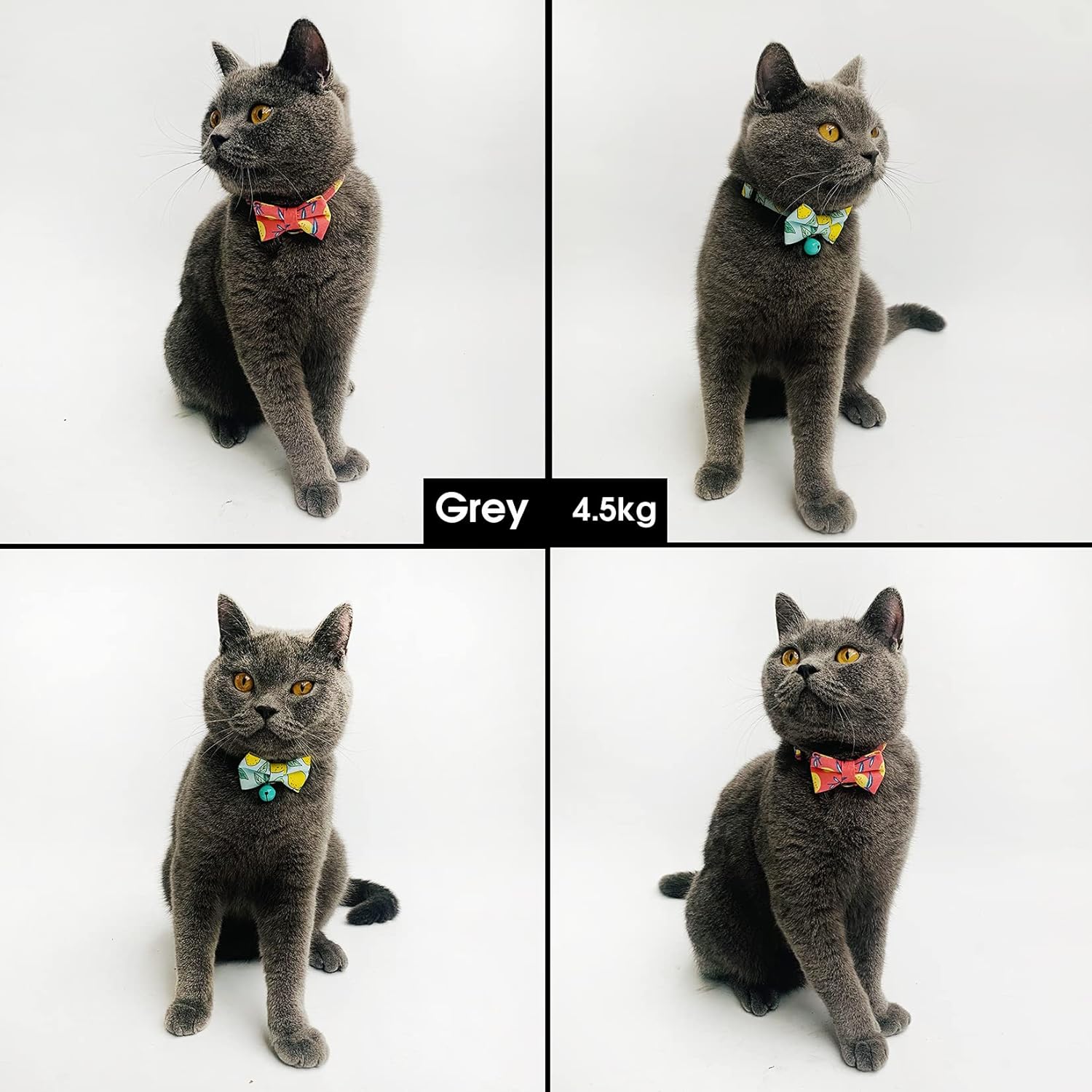 Cognatio Quick Release Cat Collars, Fruit Patterned Kitten Collars with Removable Bell and Bow Tie, Adjustable 20-30 cm - Image 3