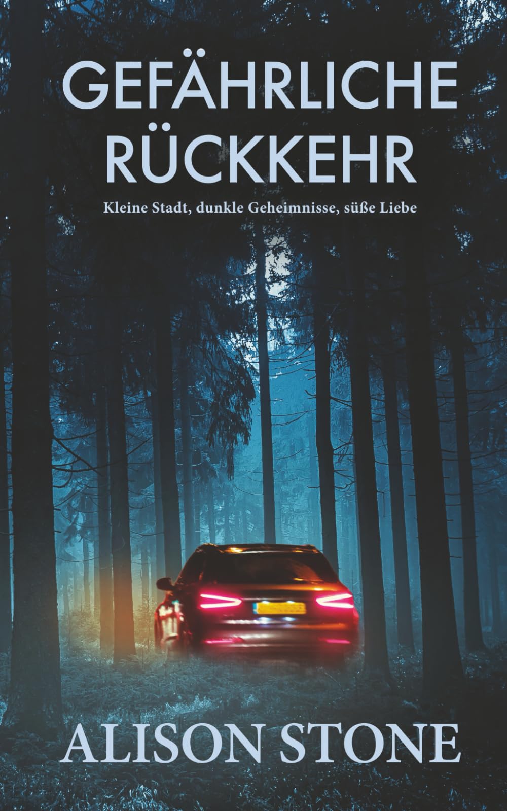 Gefährliche Rückkehr: Kleine Stadt, dunkle Geheimnisse, süße Liebe (Kleinstadt-Romantic-Suspense-Reihe)