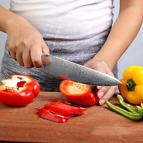 Miniatura 2 de Juego de cuchillos de cocina de 5 piezas de cuchillos de chef de Damasco, juego de cuchillos de cocina profesional, 67 capas de acero inoxidable de