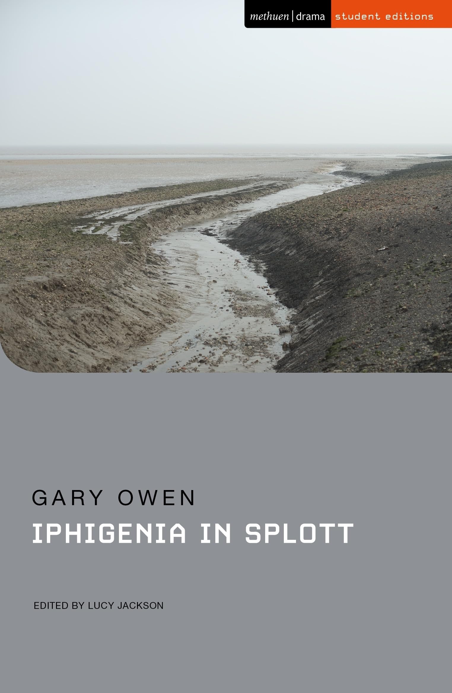 Iphigenia In Splott
