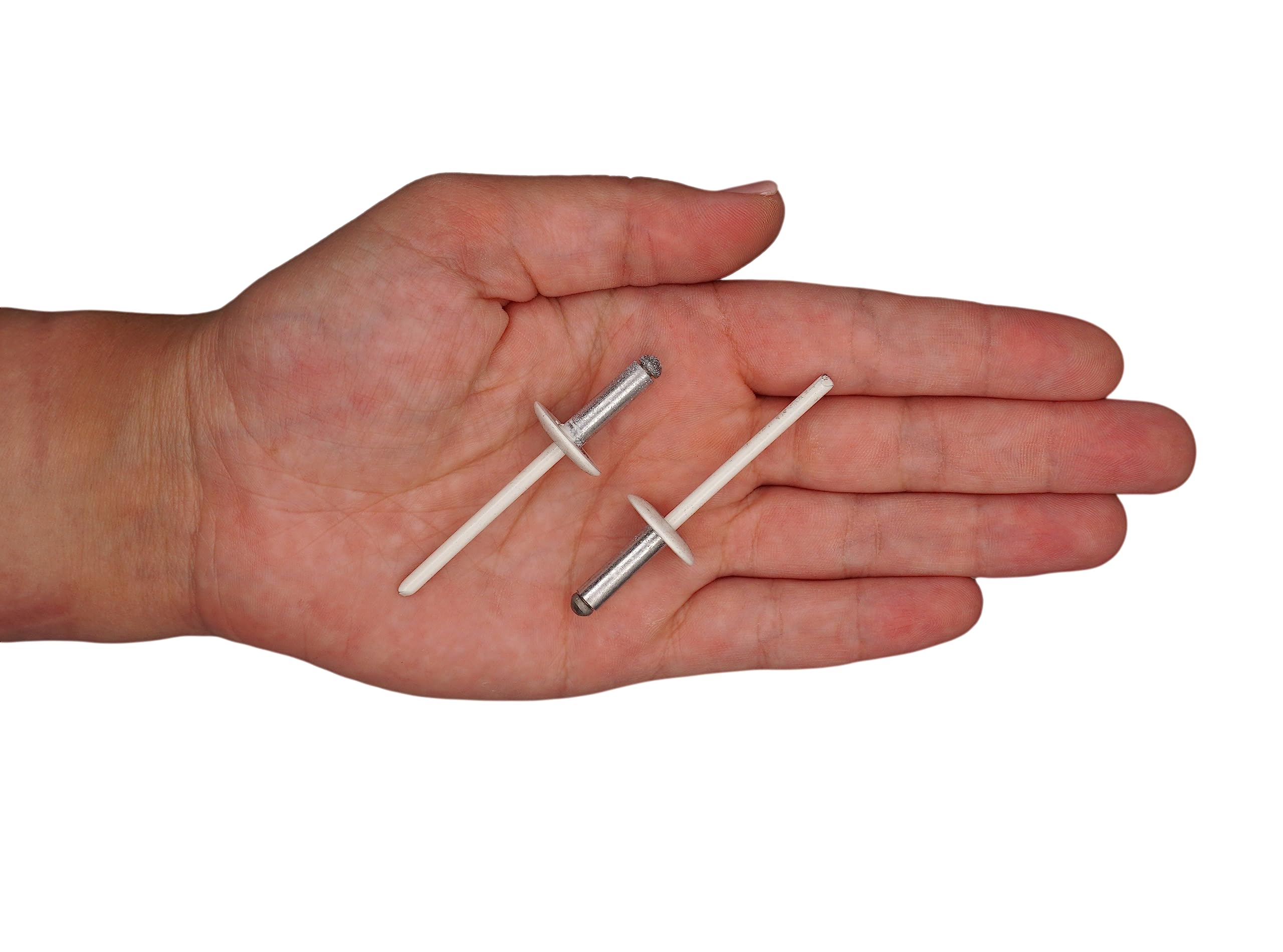 SKIR'CO (100 pcs) Lot de rivets aveugles en aluminium à grande bride 4,8 x 16 mm, mandrin en acier inoxydable, RAL 9010 Blanc pur