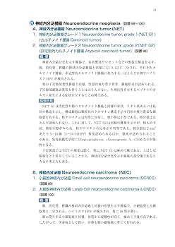 子宮頸癌取扱い規約 病理編 第5版 | 日本産科婦人科学会, 日本