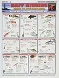Saltwater Bait Rigging Chart #2 (Northeast) - Waterproof Quick Reference Fishing Guide - (Trolling, Live Baiting, and Bottom Rigs) - Double-Sided & Easy to Read - Great Gift for Beginners