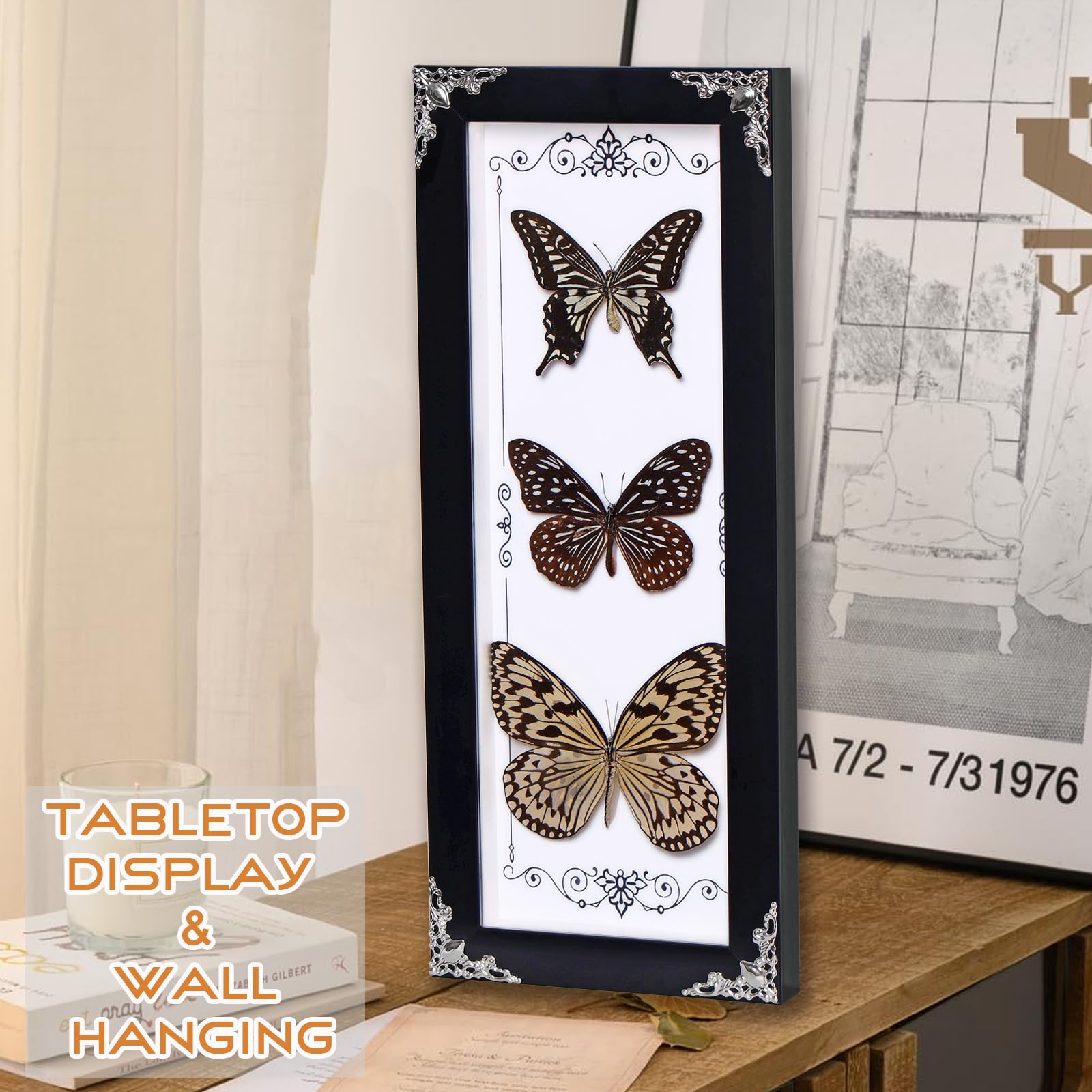 3 mariposas reales enmarcadas, decoración gótica de 15.2 x 6.5 pulgadas, caja de sombra de mariposa de taxidermia para decoración del hogar de brujas