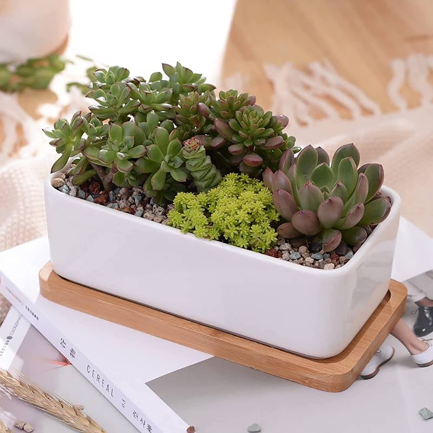 FURN ASPIRE Ceramic Planter Pot with Bamboo Tray Decorative Indoor Ceramic Pots for Plants (Note: Plants are not Included) (B07SW5BFJ6) Amazon Price History, Amazon Price Tracker