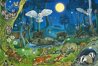 Comprar Schmidt Juegos 56529 Animales por la Noche en el Bosque, 100 Piezas, Puzzle Infantil de cartón de Hierba, Multicolor, única