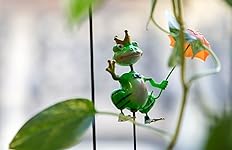 Review Image by Ron Ron