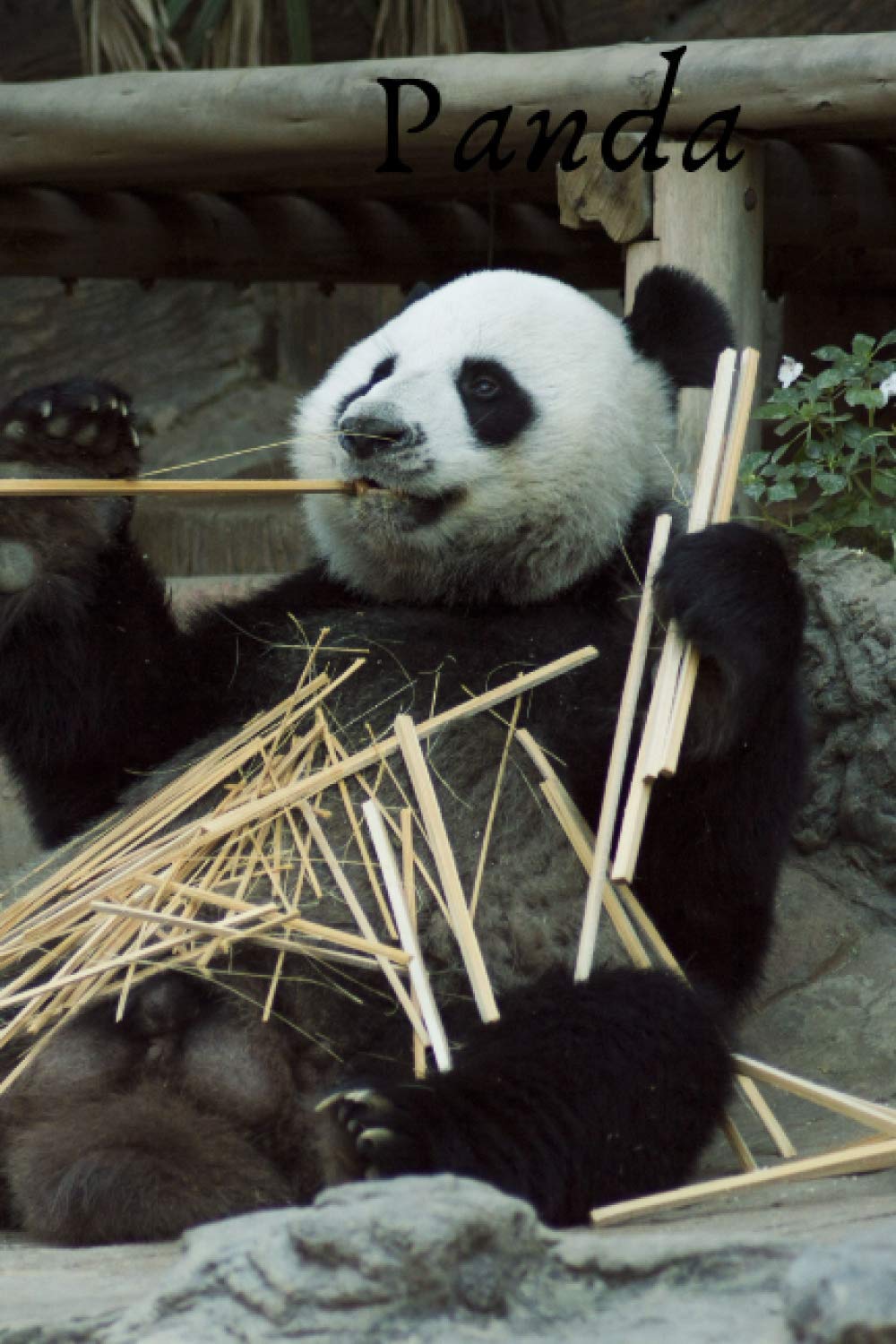 Panda: Animal Notebook, Journal, Diary (110 Pages, Blank, 6 x 9)