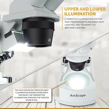 AmScope SE306R-PY-LED Forward-Mounted Binocular Stereo Microscope, WF10x