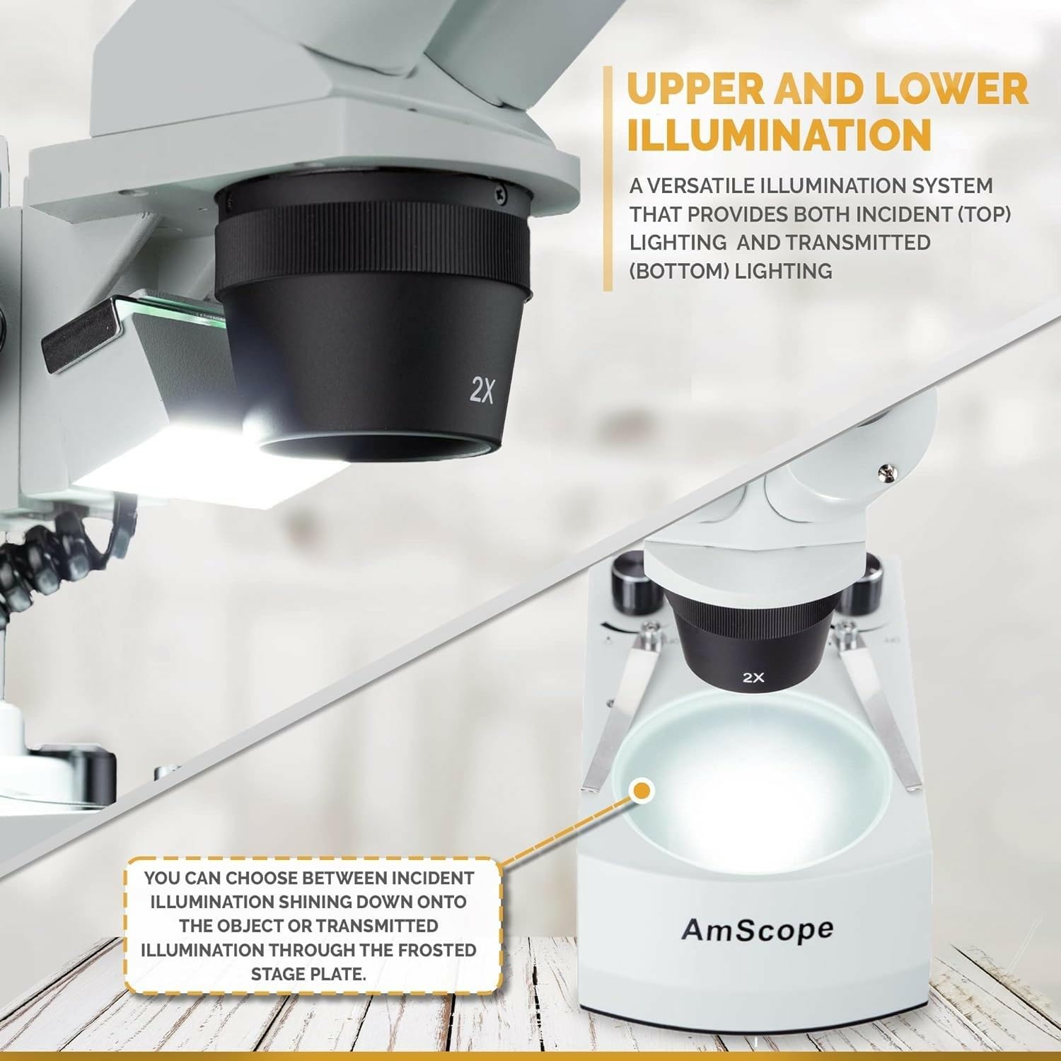 AmScope – 20X-80X LED inalámbrico Stereo Microscopio Cordless