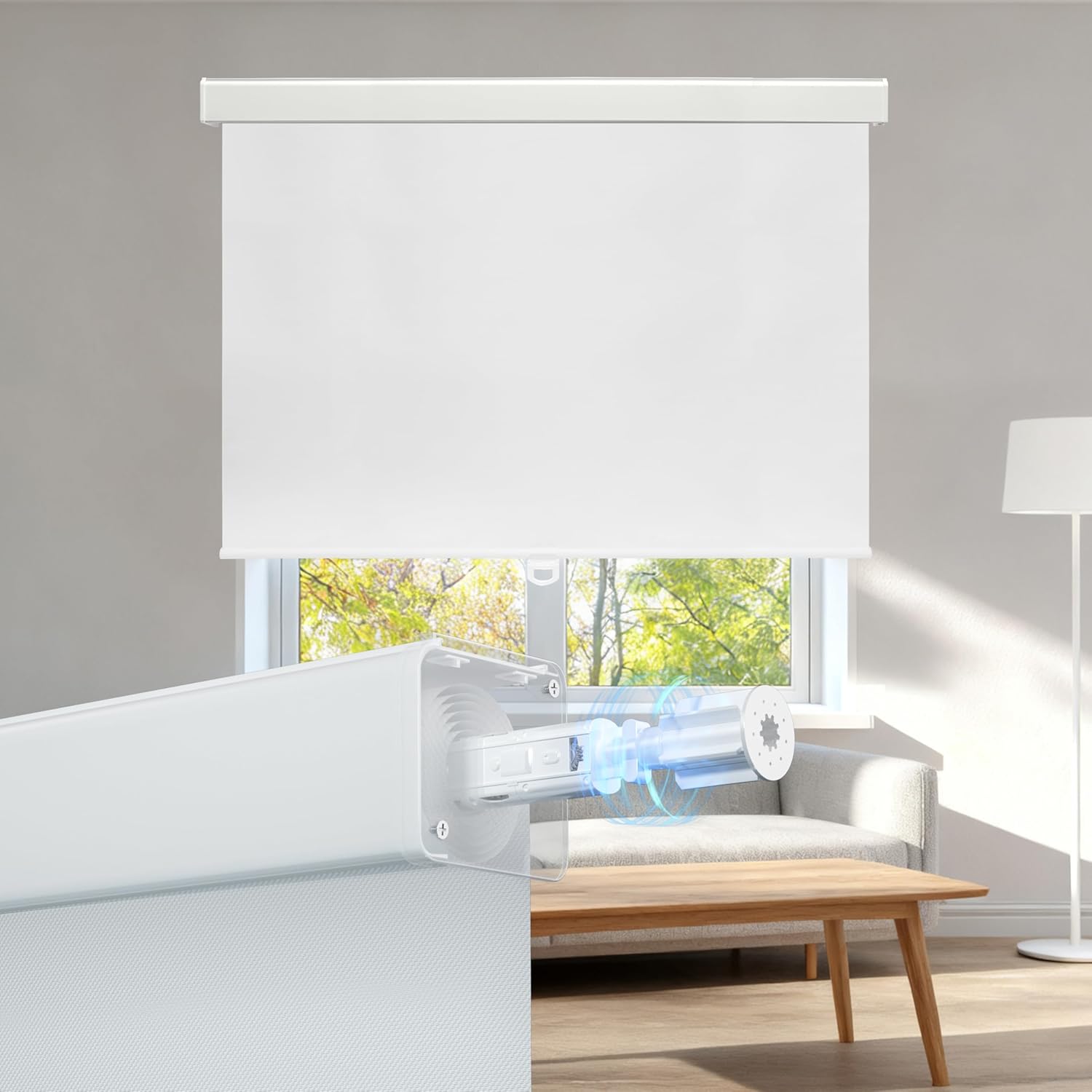 Royal Shade Blackout Shades for Windows, Free-Stop Cordless Roller Shades, Thermal-Insulated Window Blinds, Easy Install Pull-Down Window Shades for Home, Office, Bedroom (White, 28" W x 72" H)