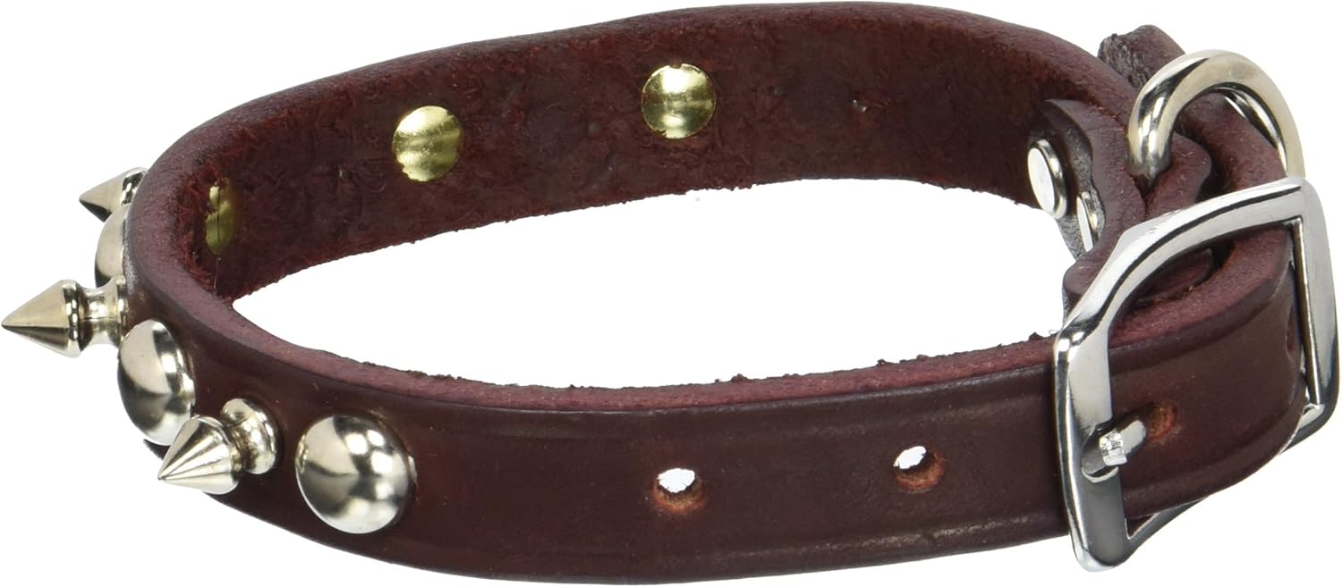 Leather Brothers 100LKS-BK24 1 x 24-Inch Regular Spiked and Studded Latigo Leather Dog Collar, X-Large, Black