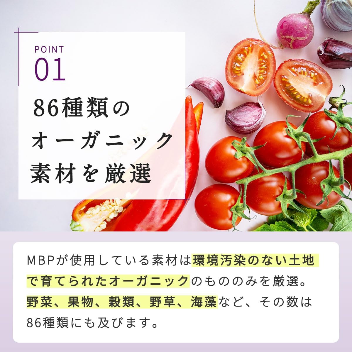 Amazon.co.jp: 美人研究所 マクロビオティックビューティーペースト 30 