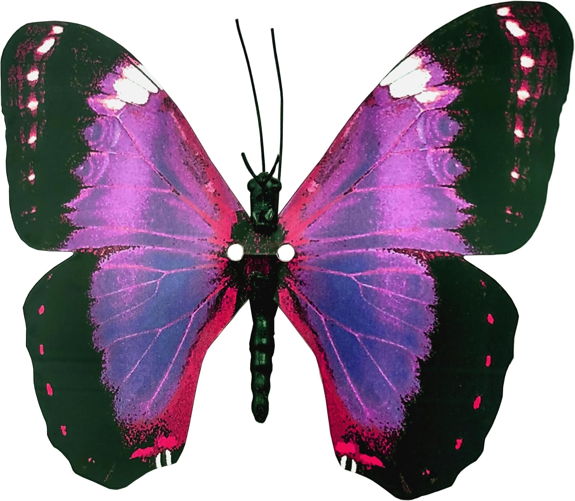 Elegant Aliform Violet Morpho Moving Butterfly