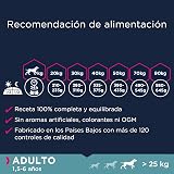 Ver la foto 6