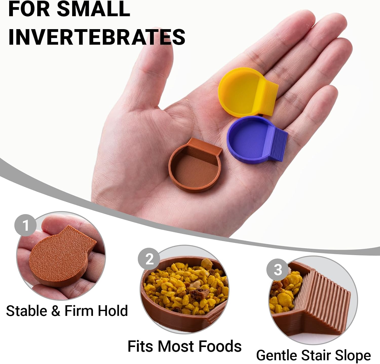 12-Pack Feeding Dish for Invertebrates – Feeder Bowls for Dubia Roaches, Isopods, Springtails, Superworms, Small Insects & More – Mini Bowls for Reptile Food & Supplements image 2