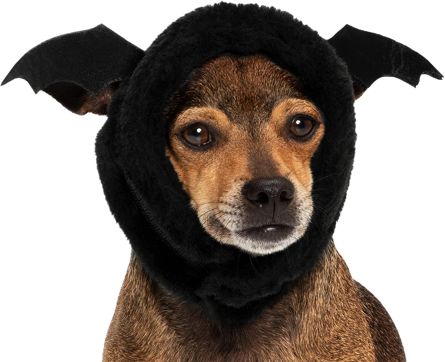 Furhaven XS to SM Dog Hat, Washable & Cozy - Plush Faux Fur Flex-Fit Black Bat Dog Hat Costume - Black, Extra Small to Small