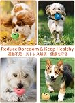 Squeaky Dog Toys, [6 Pack] Soft Stuffed Plush Balls with Squeakers, Interactive Fetch Play for Puppy Small Pets