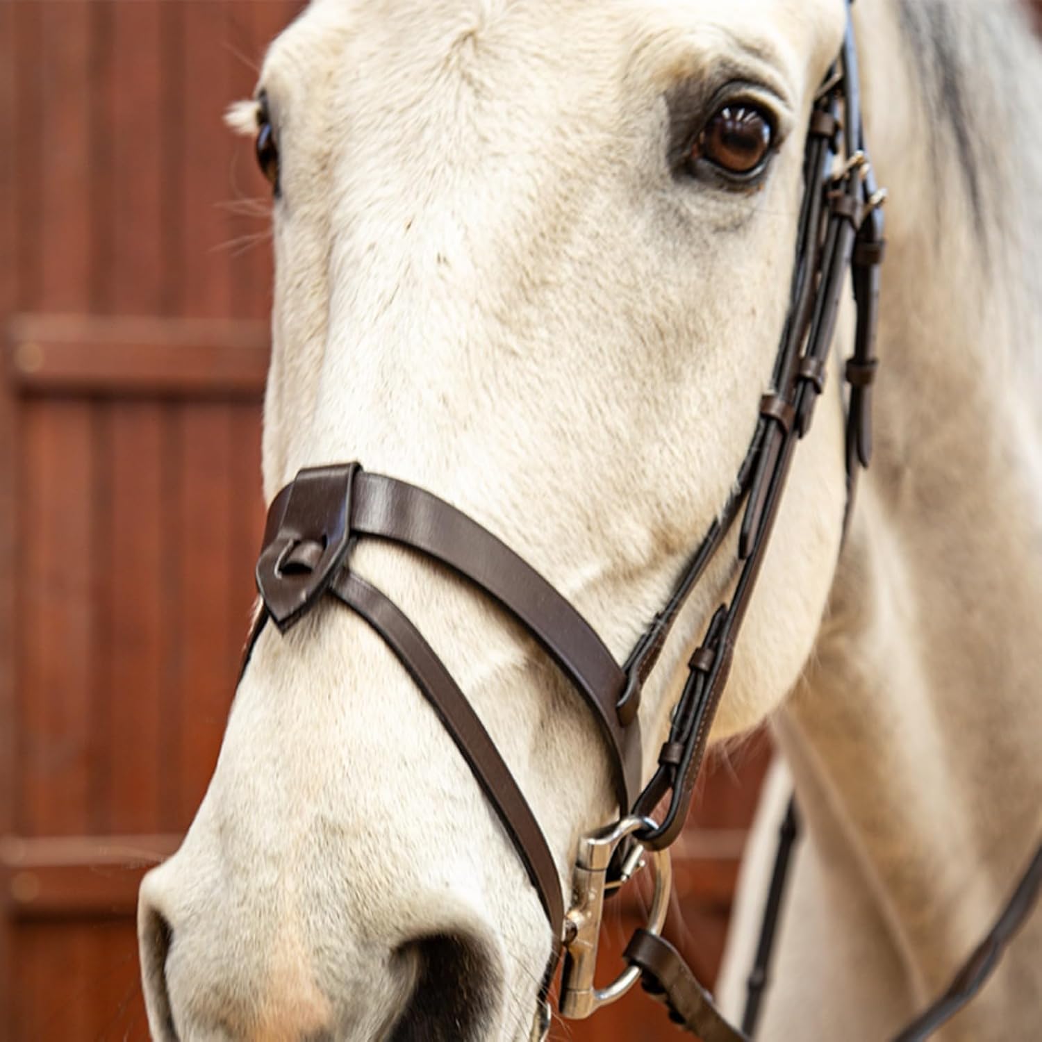 walgun 本革製レザーサドル Aa8b6f5624ecd438ea840934d6ef62