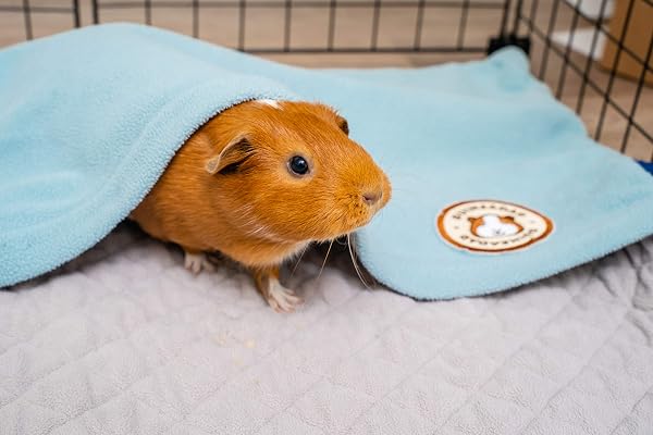 GuineaDad Liner - C & C 2x1 Größe | Meerschweinchen Fleece Cage Liner | Meerschweinchenstreu | Extra saugfähiger Bambus Wasserdichter Boden - 5