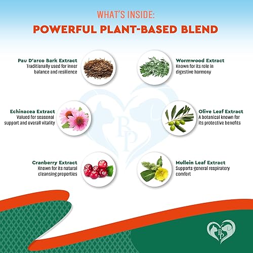 Miniatura 3 de Antibiótico natural para perros y gatos - Suplemento herbario para aliviar la tos de las perreras, tratamiento de infecciones urinarias, salud del
