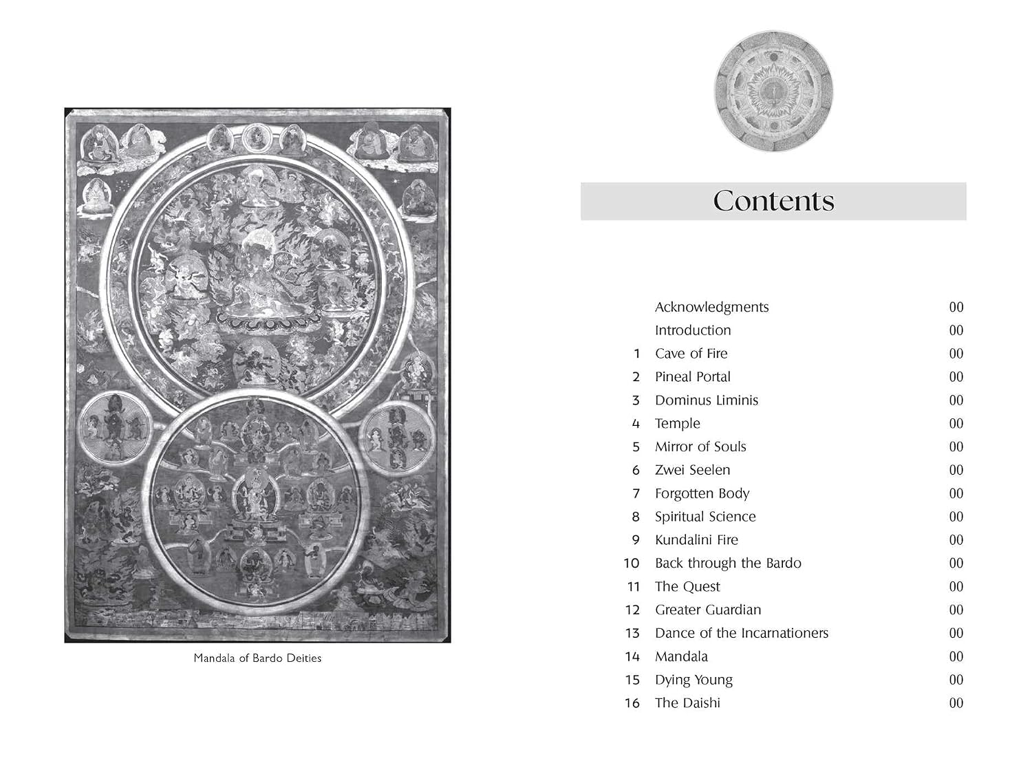 The Secret Fire of Alchemy: Kriya Yoga, Kundalini, and Shamanism