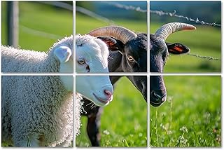 6 Panels Art Acoustic Panels Young lamb goat Soundproof Wall Panels Padding Decorative Sound Absorbing Panels 72"x48" for Recording Studios Home