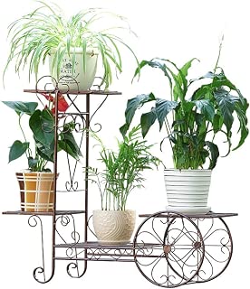Amazon.es: AIFANG - Soportes para plantas / Huertos urbanos y ...