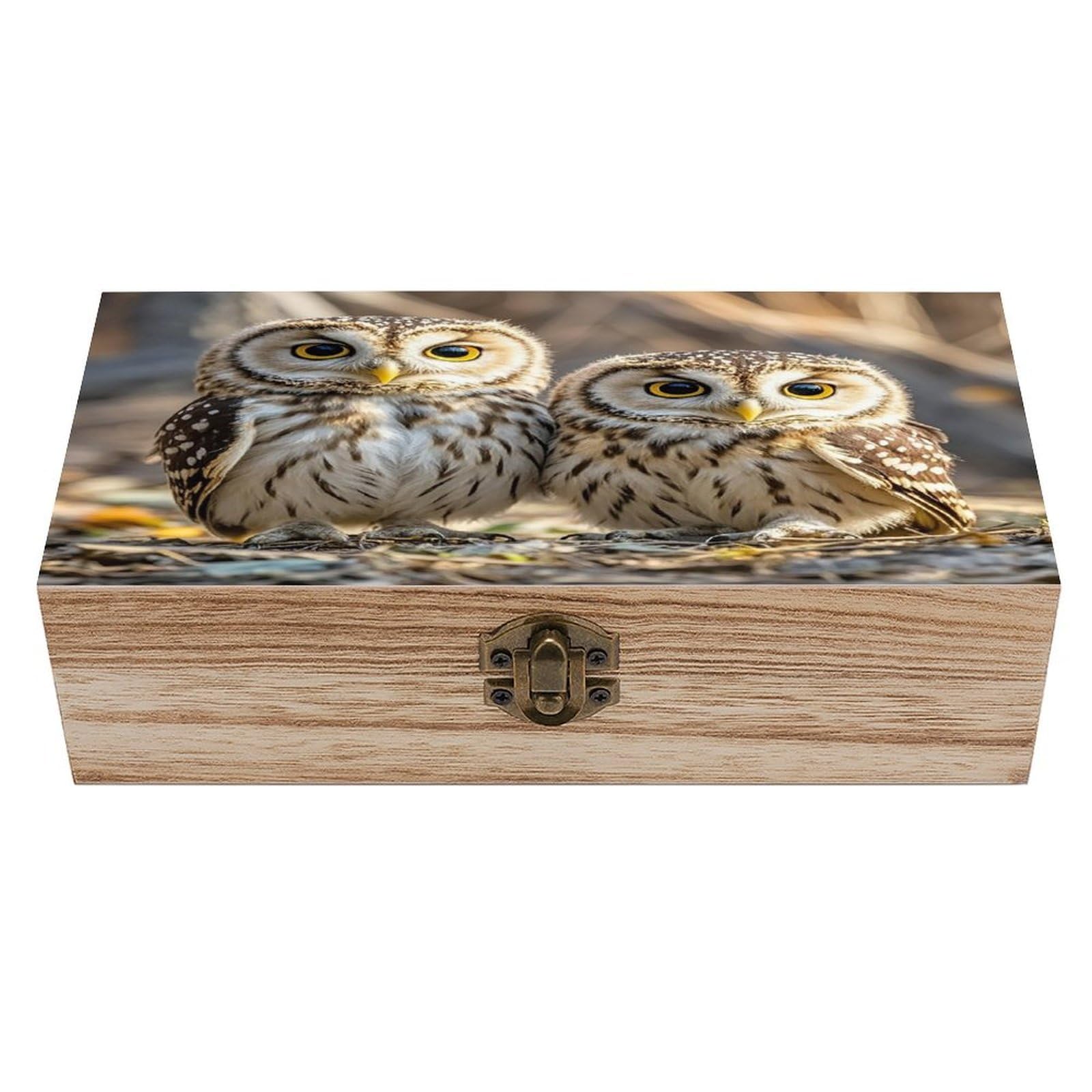asbwuo Real Cute Owls Wood Keepsake Box Wooden Box with Hinged Lid